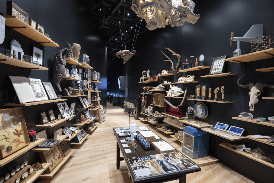 Aramata Wonder Secret Museum